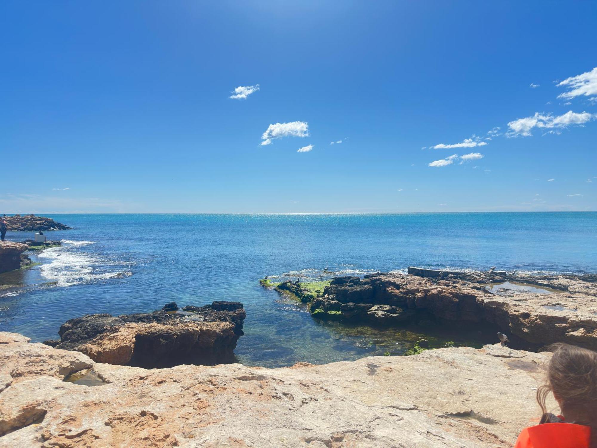 Playa Flamenca - Alicante - Orihuela Costa Bagian luar foto